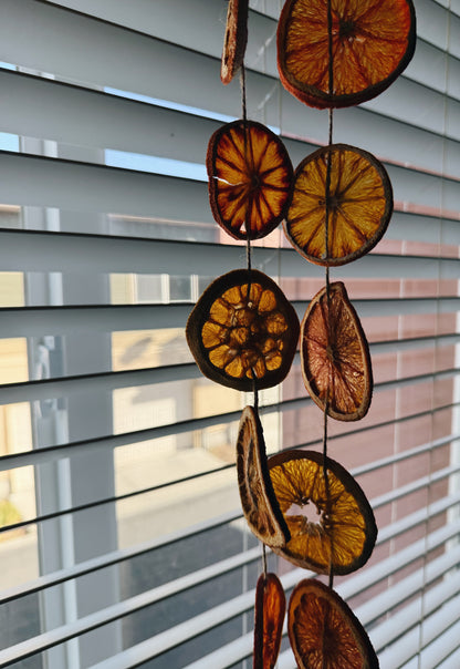 Dried Citrus Garlands